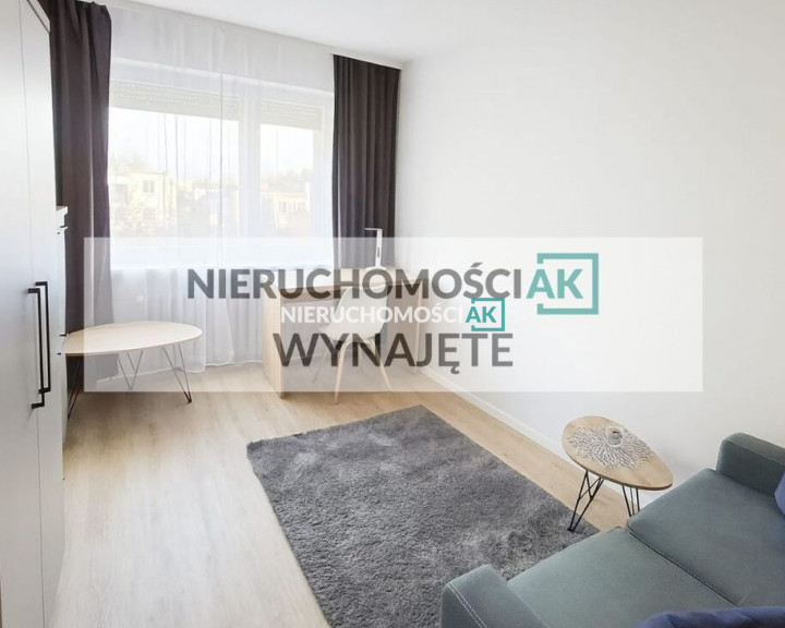 Mieszkanie Wynajem Poznań Stare Miasto Skwierzyńska